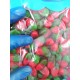 Mini fresas silvestres Vidal 1 kilo