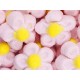 NUBES MARGARITAS ROSAS 100U