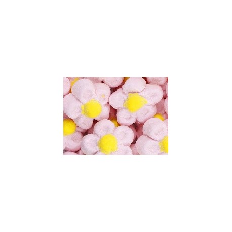 NUBES MARGARITAS ROSAS 100U